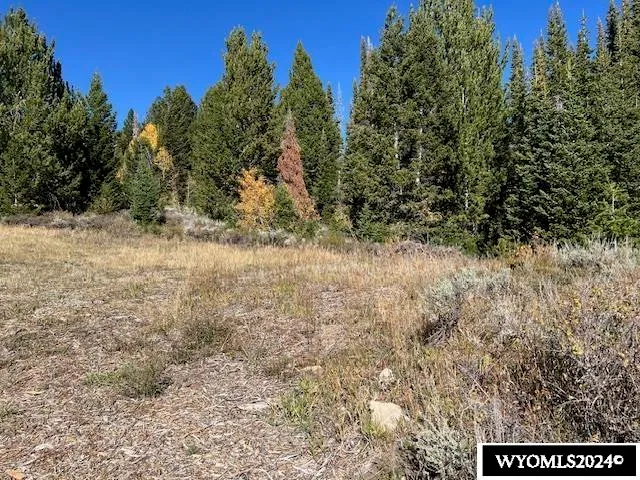 $75,000 | Lot 121 Ling Way, Kemmerer, WY 83101