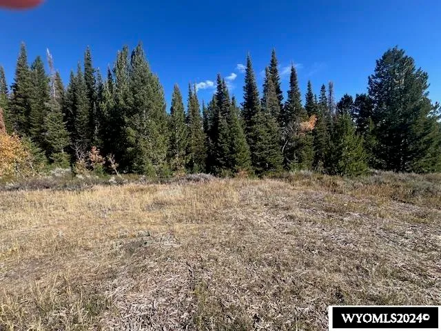 $75,000 | Lot 121 Ling Way, Kemmerer, WY 83101