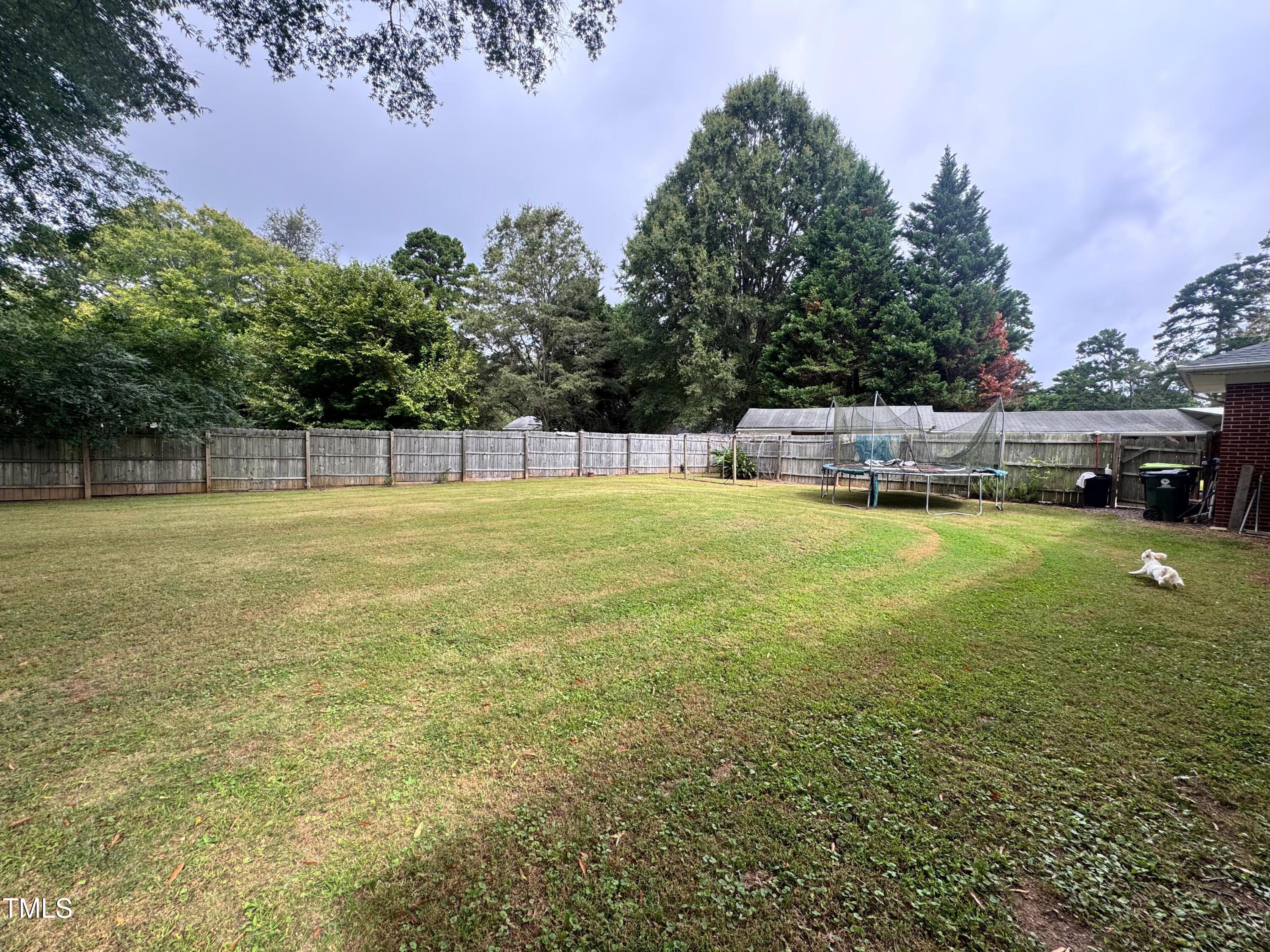 220 Pine Tree Road Oxford, NC 27565 - Photo 26 of 28 yard