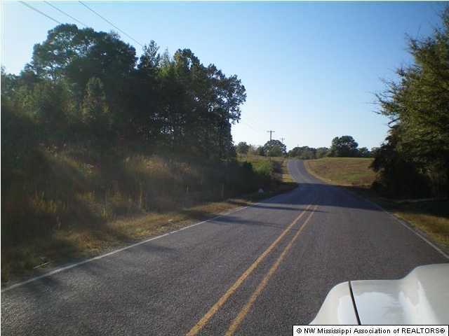 0 Clear Creek Road Lamar, MS 38642 - Photo 3 of 8 Additional Photo