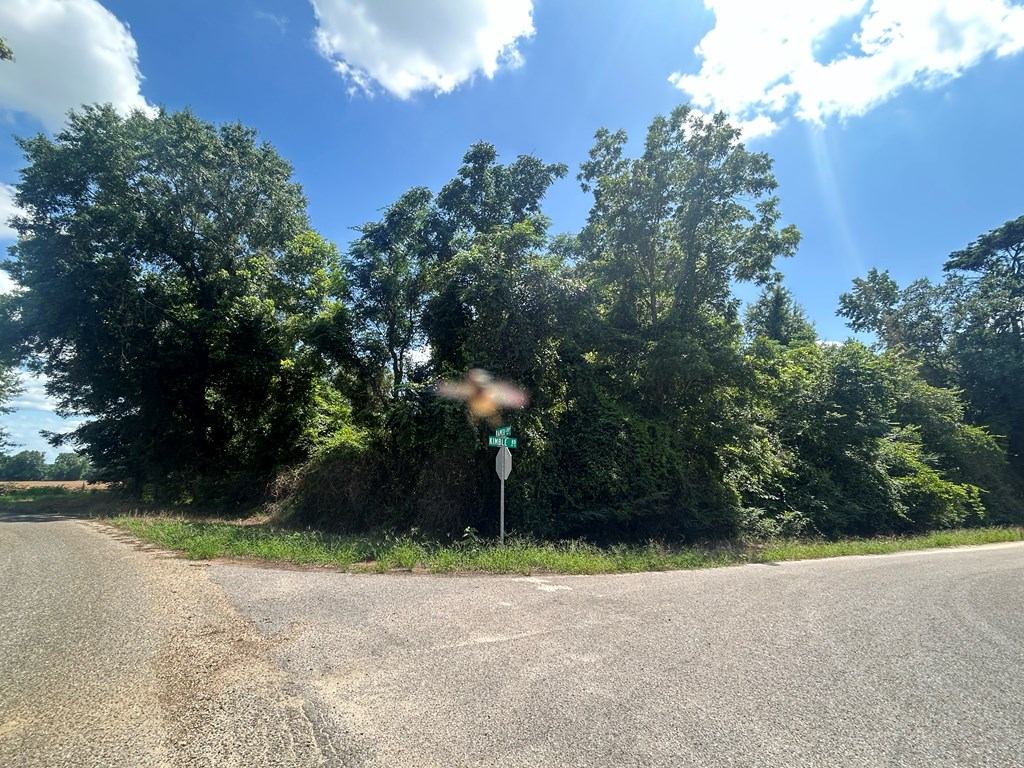 19.16-ac 19.16-ac Ramer Loop Cottonwood, AL 36320 - Photo 5 of 34