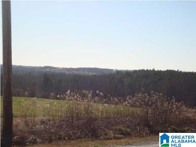 29 Highway Ac Al, Unit 33 Oneonta, AL 35121 - Photo 1 of 23