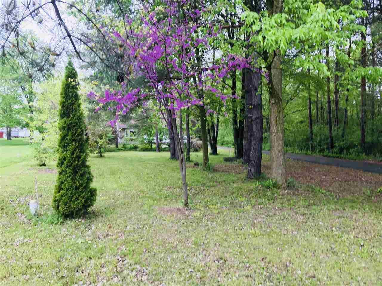7183 North Lewis Road Mount Morris, MI 48458 - Photo 4 of 34 21450346-3.JPG