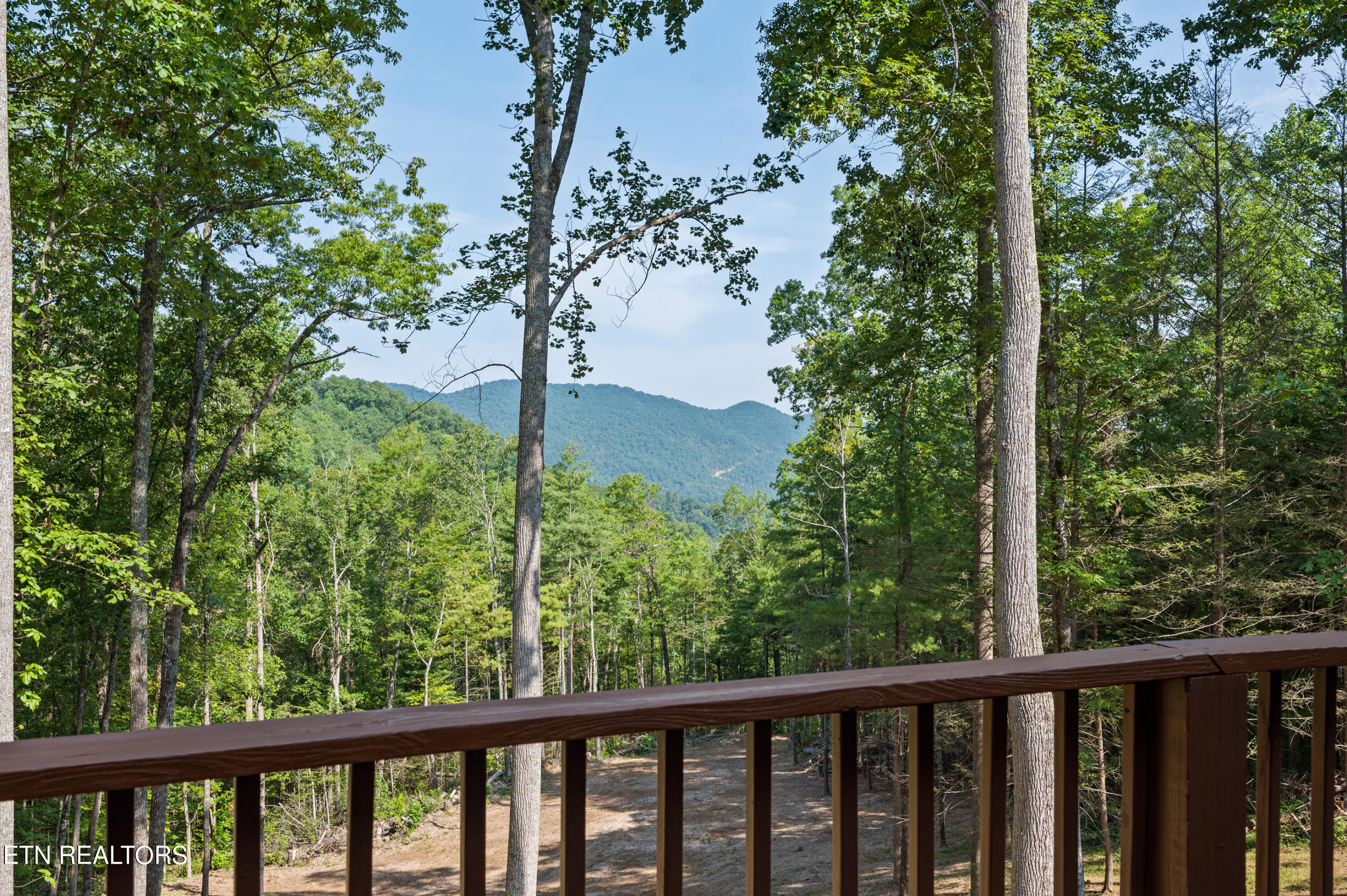 156 Fence Rail Gap Road Walland, TN 37886 - Photo 35 of 51 DSC_0473 (1)