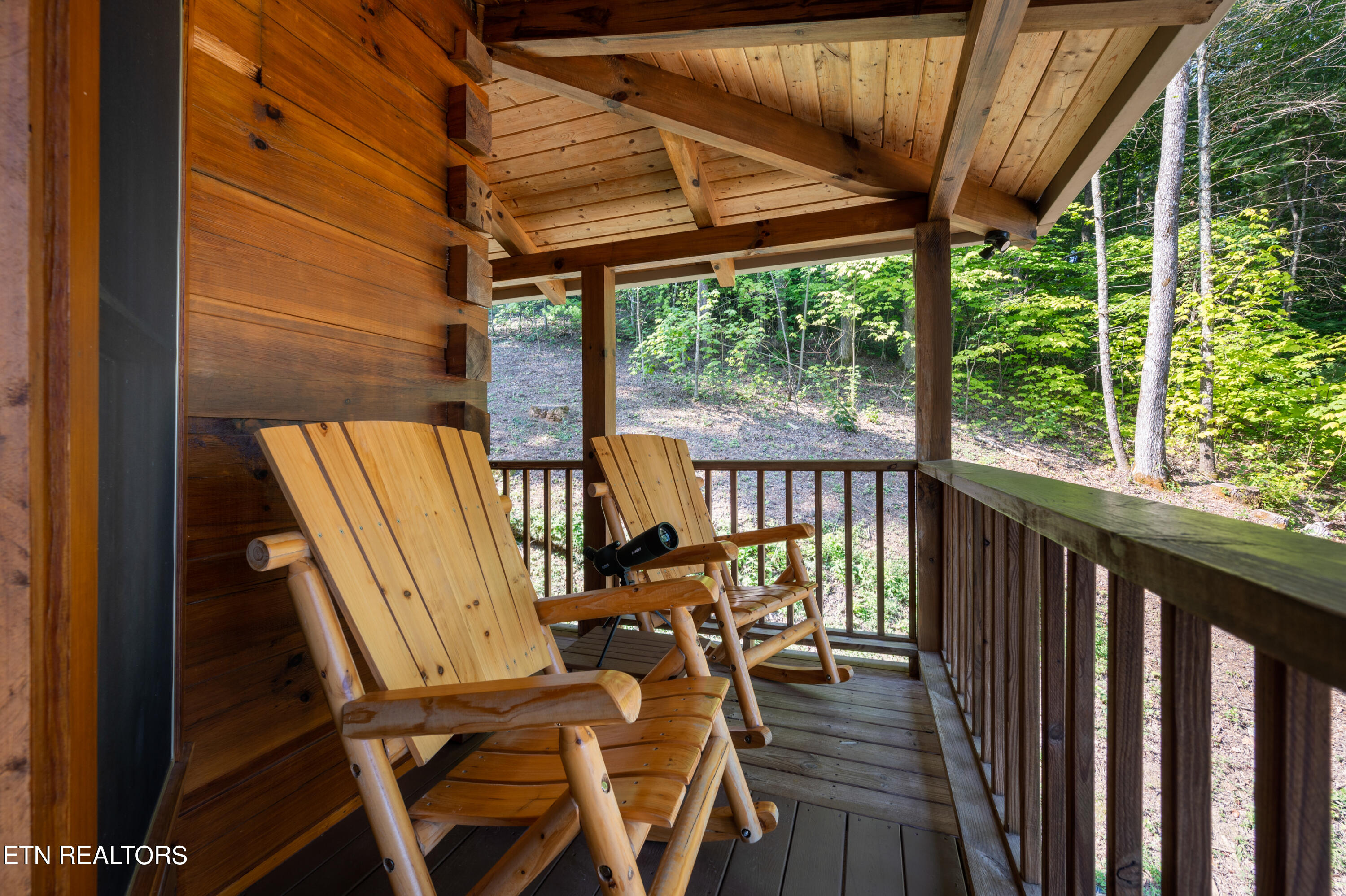 156 Fence Rail Gap Road Walland, TN 37886 - Photo 36 of 51 DSC_0478 (1)