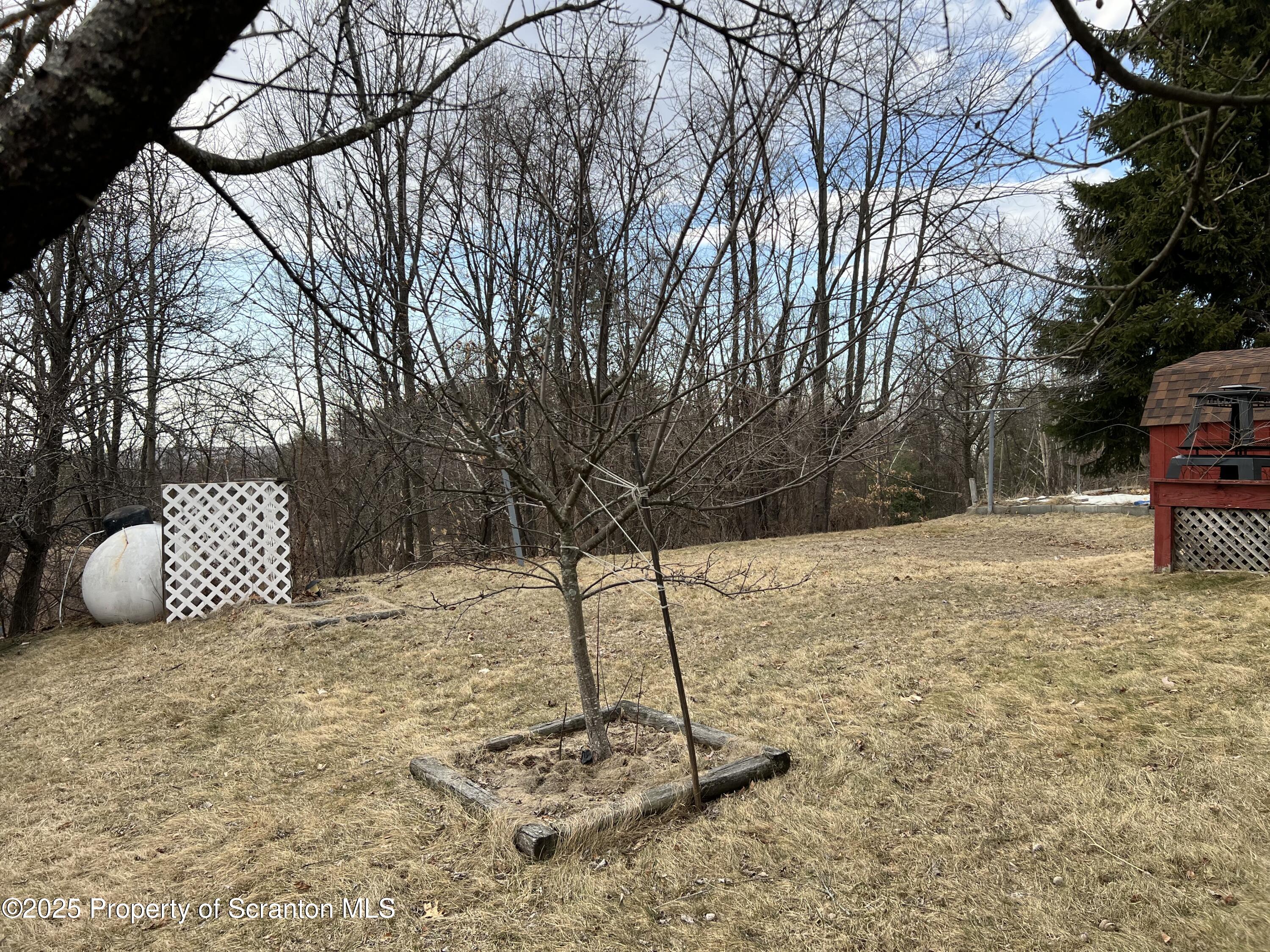 113 Renfer Road Pittston, PA 18640 - Photo 67 of 75 IMG_1745