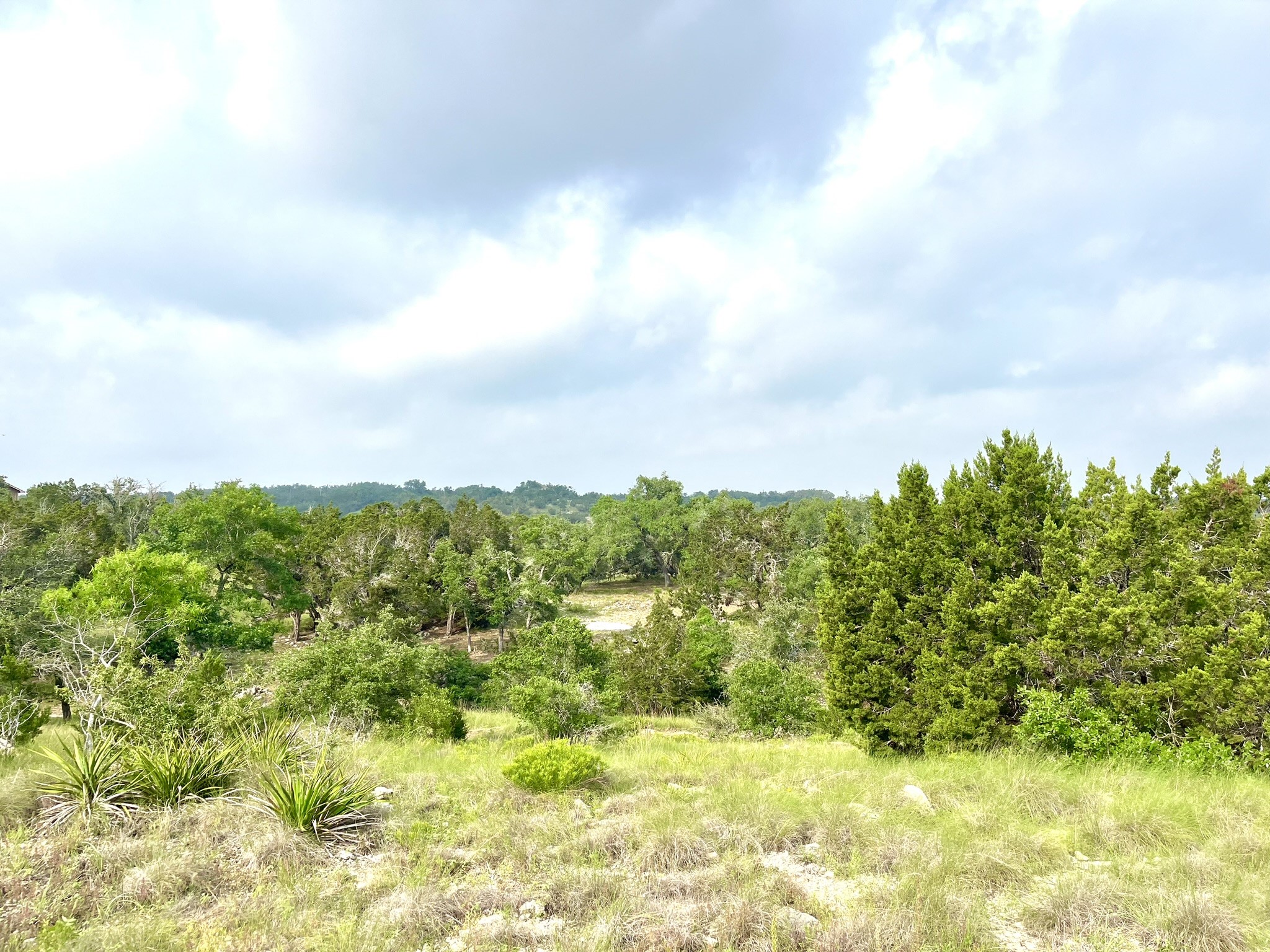 509 Greystone Road Dripping Springs, TX 78620 - Photo 14 of 38