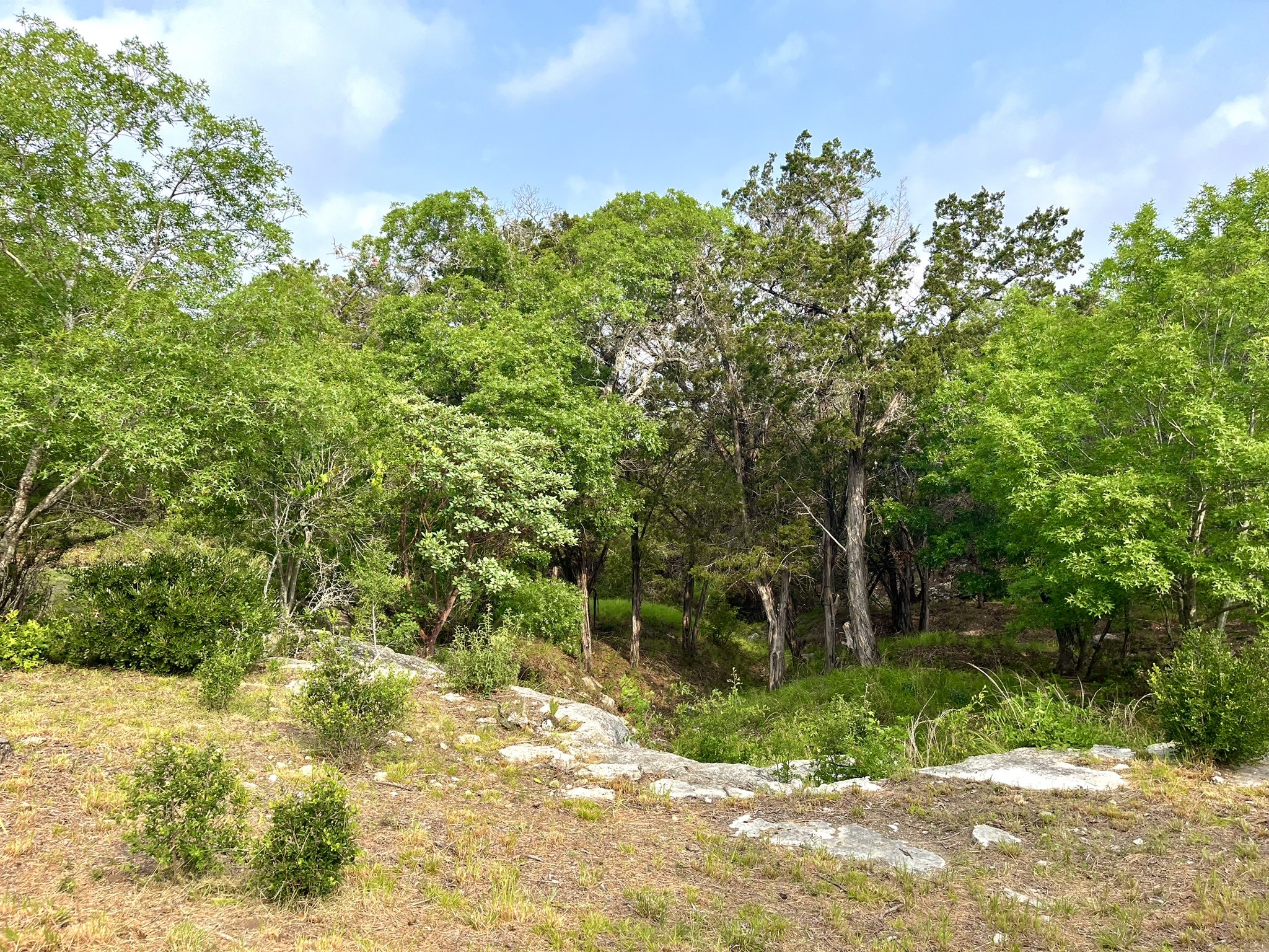 509 Greystone Road Dripping Springs, TX 78620 - Photo 19 of 38 a view of a yard