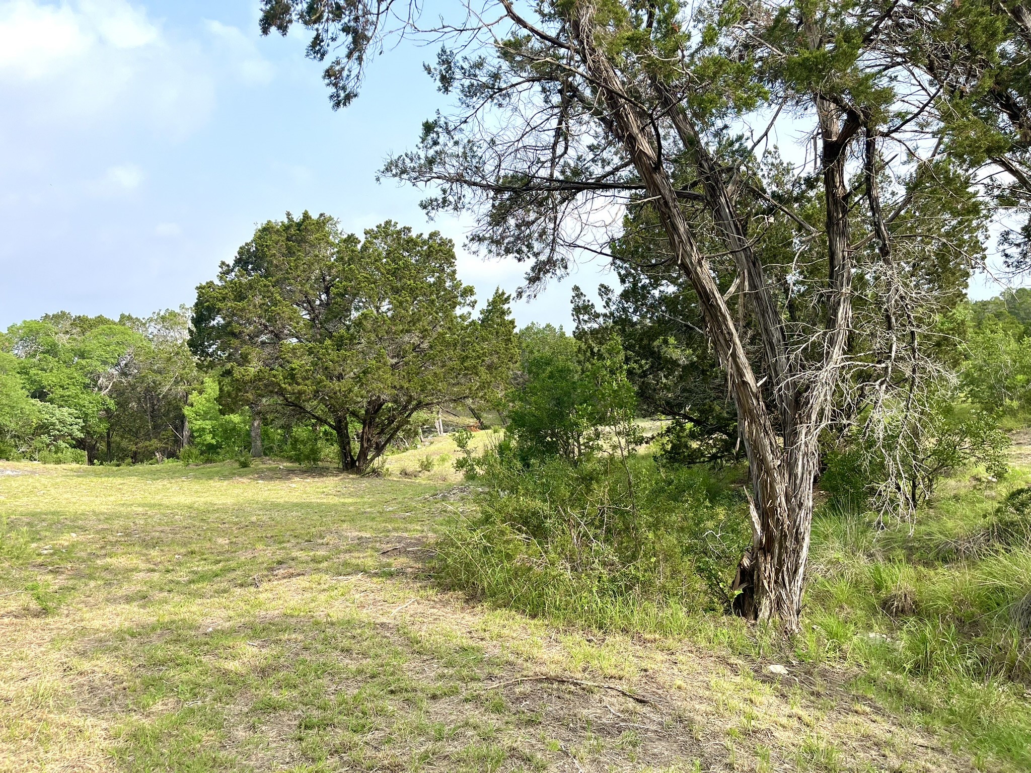 509 Greystone Road Dripping Springs, TX 78620 - Photo 22 of 38 a view of ocean view with beach