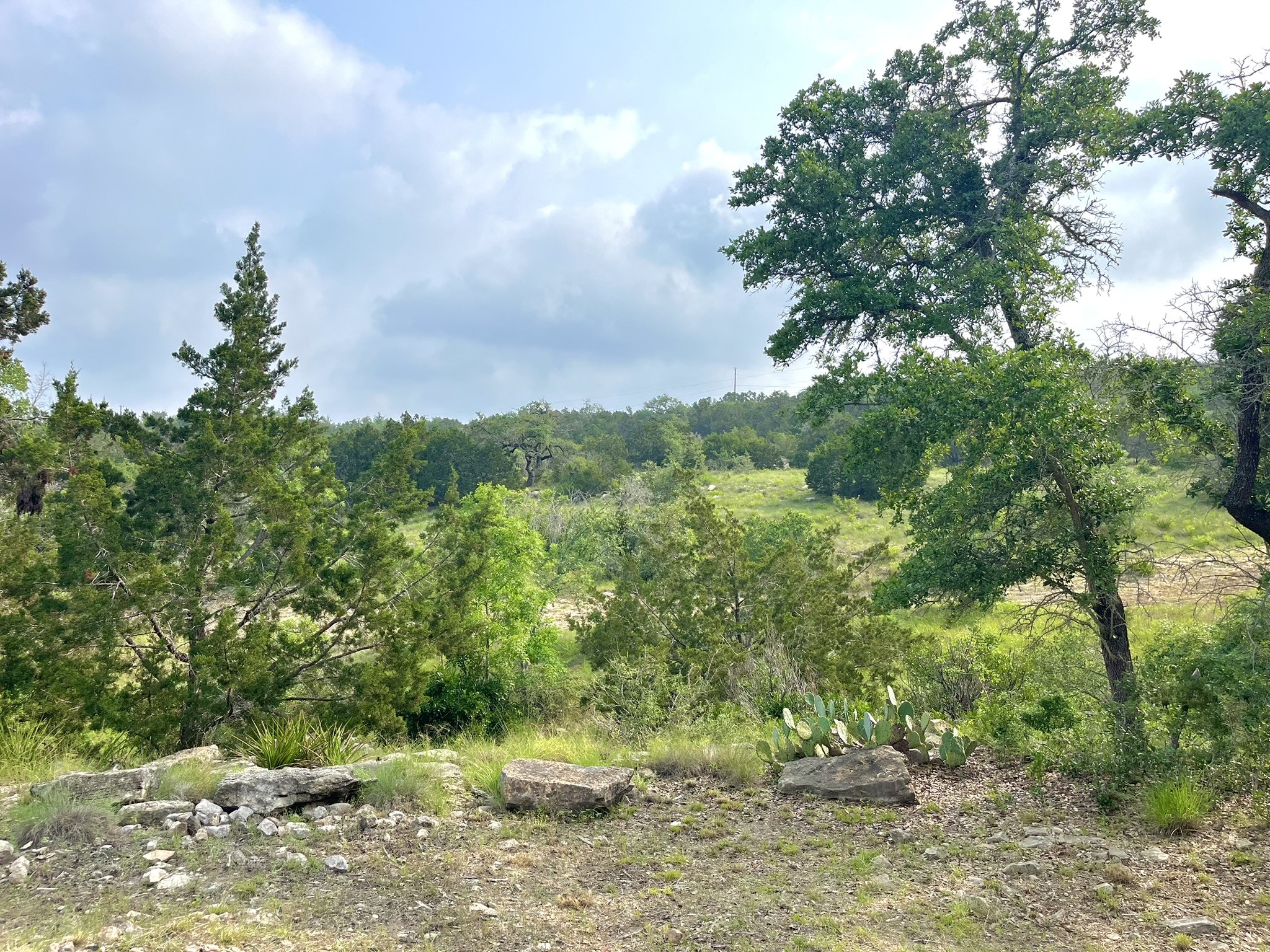 509 Greystone Road Dripping Springs, TX 78620 - Photo 26 of 38 a view of a yard