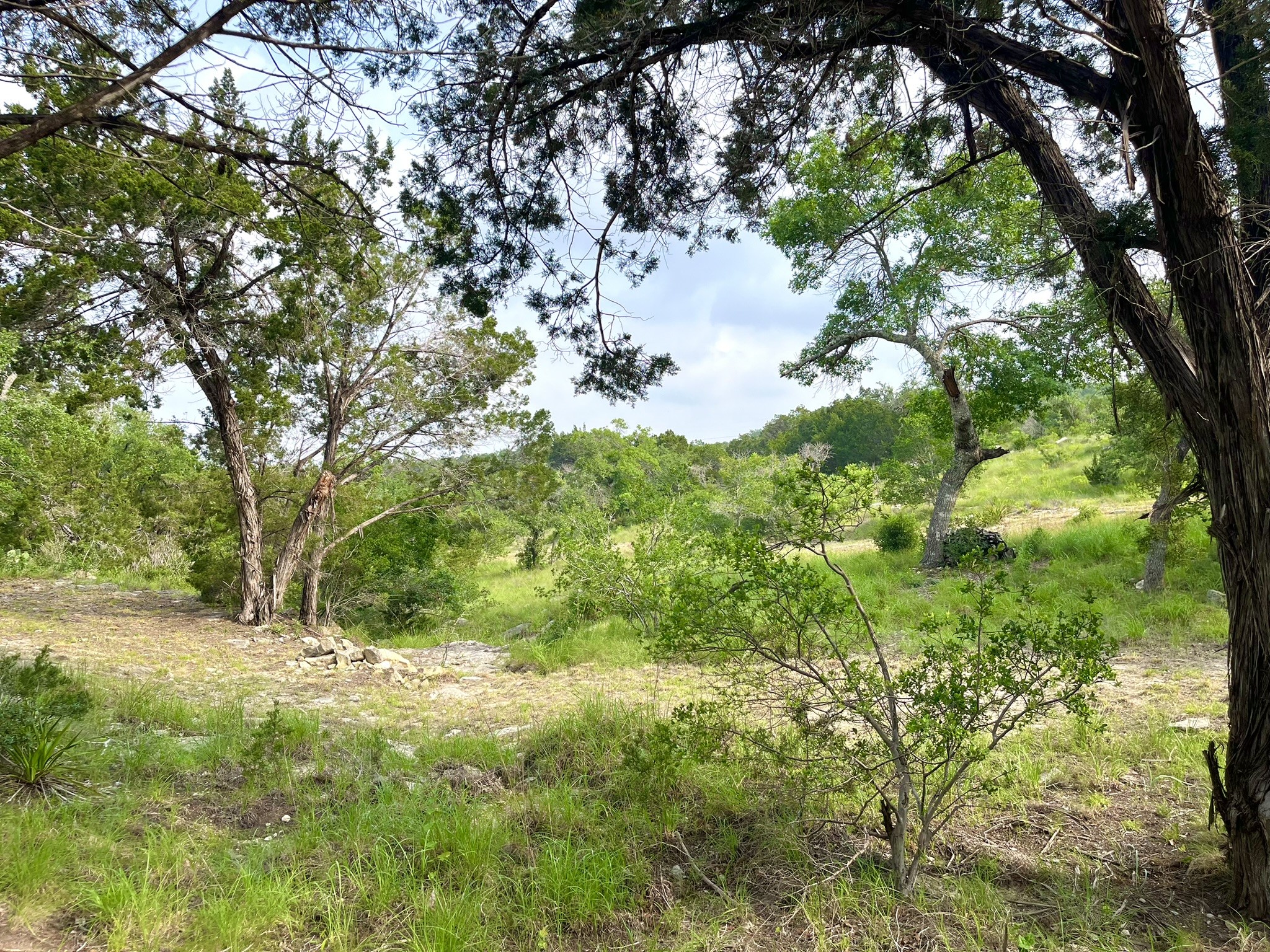 509 Greystone Road Dripping Springs, TX 78620 - Photo 30 of 38 a view of backyard with green space