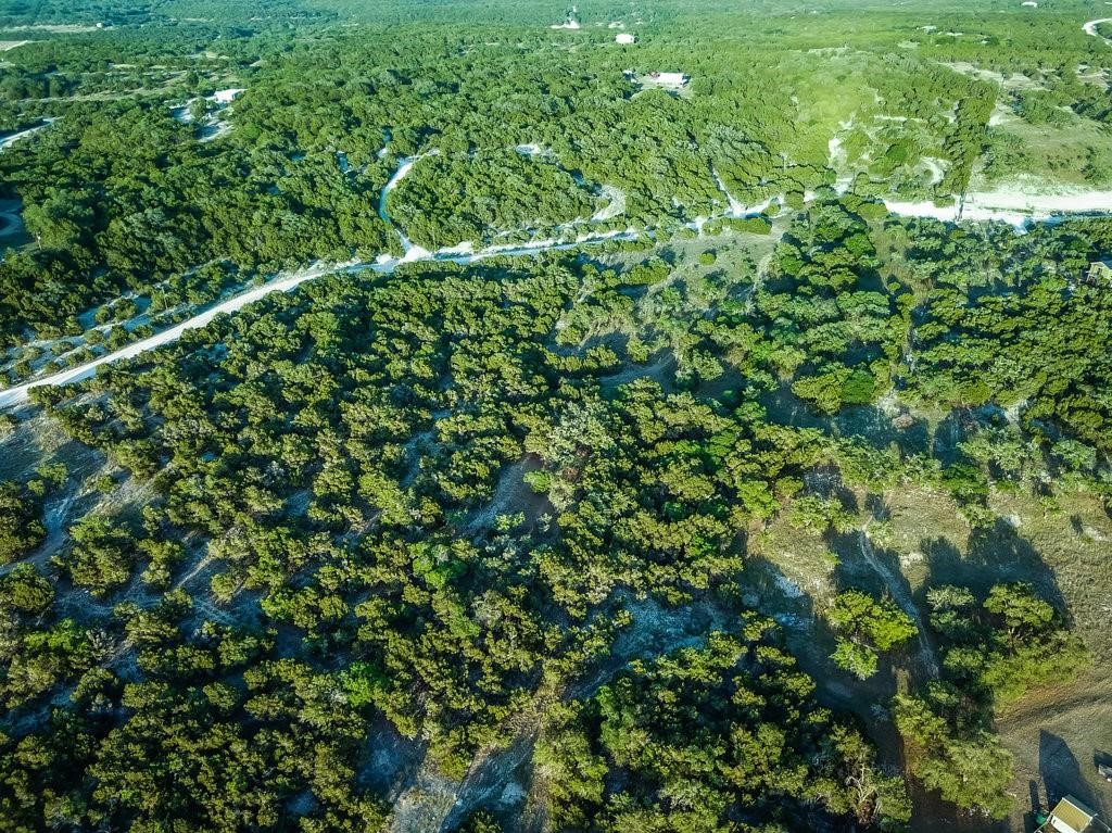 509 Greystone Road Dripping Springs, TX 78620 - Photo 3 of 38 a view of a lush green forest