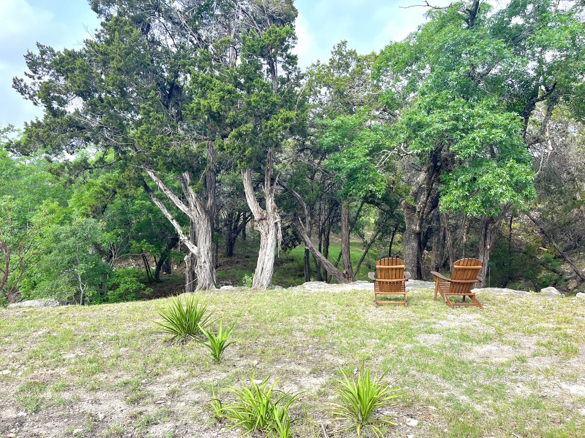509 Greystone Road Dripping Springs, TX 78620 - Photo 7 of 38 a view of a house with a yard