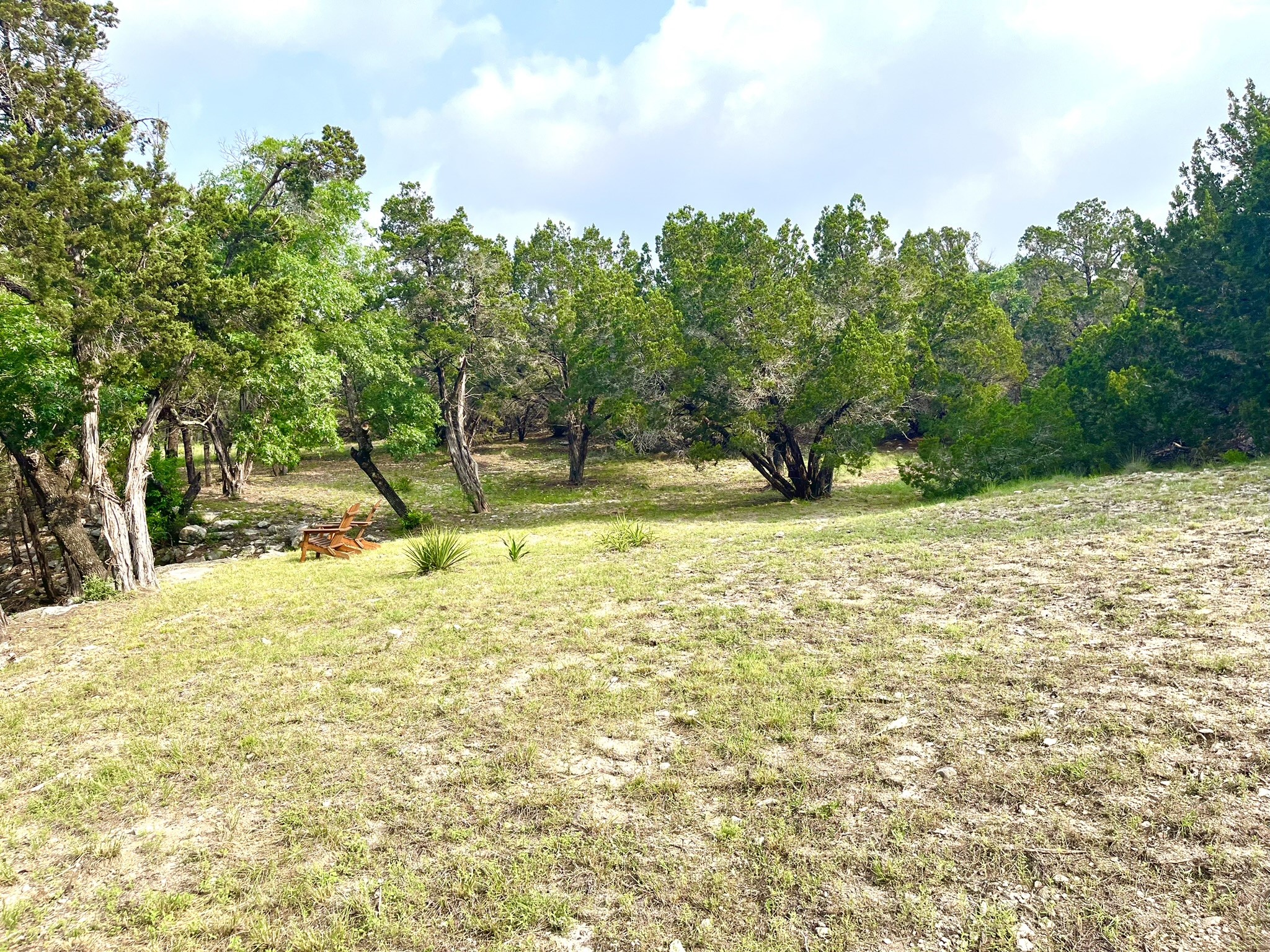509 Greystone Road Dripping Springs, TX 78620 - Photo 8 of 38 a view of yard with trees