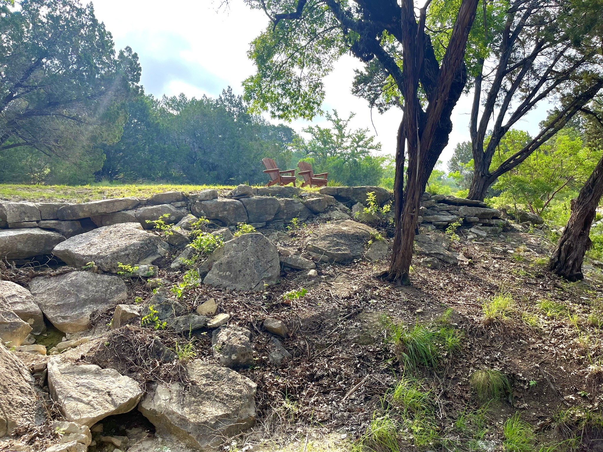 509 Greystone Road Dripping Springs, TX 78620 - Photo 10 of 38 a view of backyard with tree