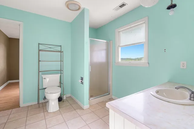 a bathroom with a sink and a toilet