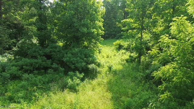 0 East Side Hayman Road Long Bottom, OH 45743 - Photo 6 of 14