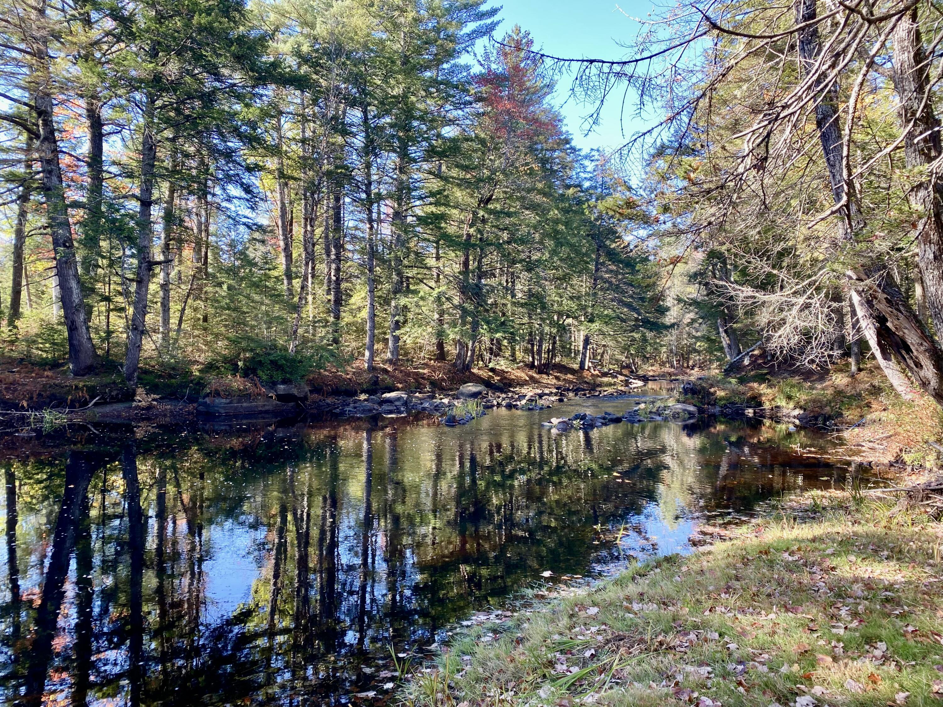289 Pratt Road Parsonsfield, ME 04047 - Photo 51 of 55 IMG_3980