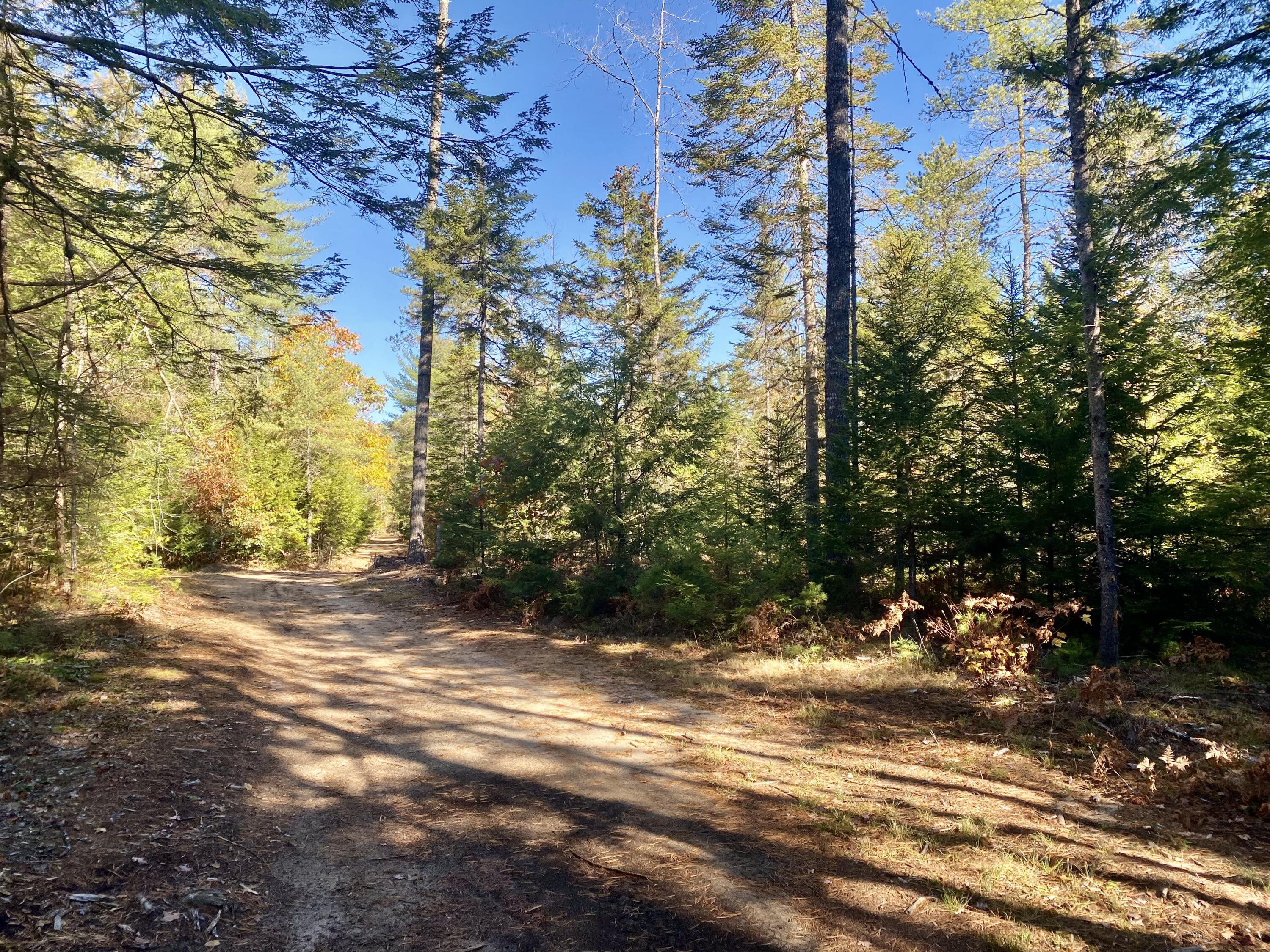 289 Pratt Road Parsonsfield, ME 04047 - Photo 8 of 55 IMG_3992