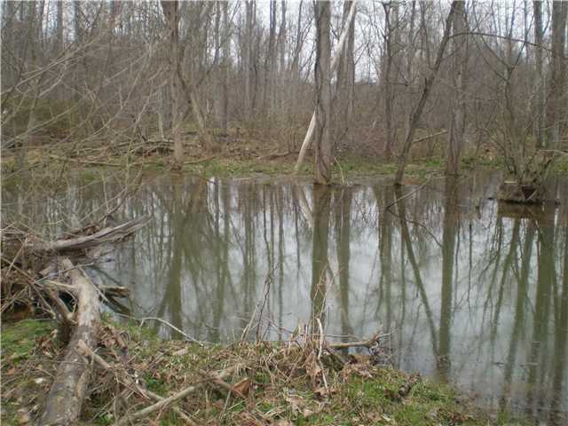 0 Lewisville Road Paragon, IN 46166 - Photo 3 of 4