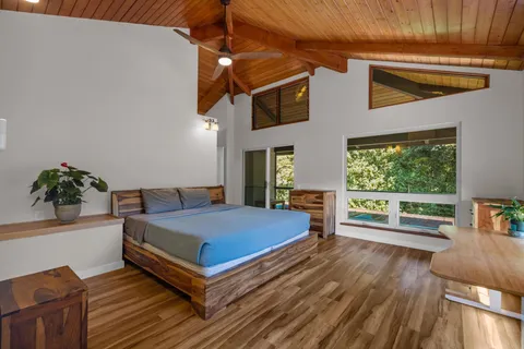 a room with a bed and a potted plant