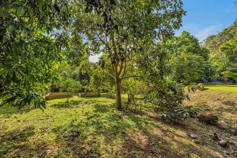 a wooden fence with trees in the background