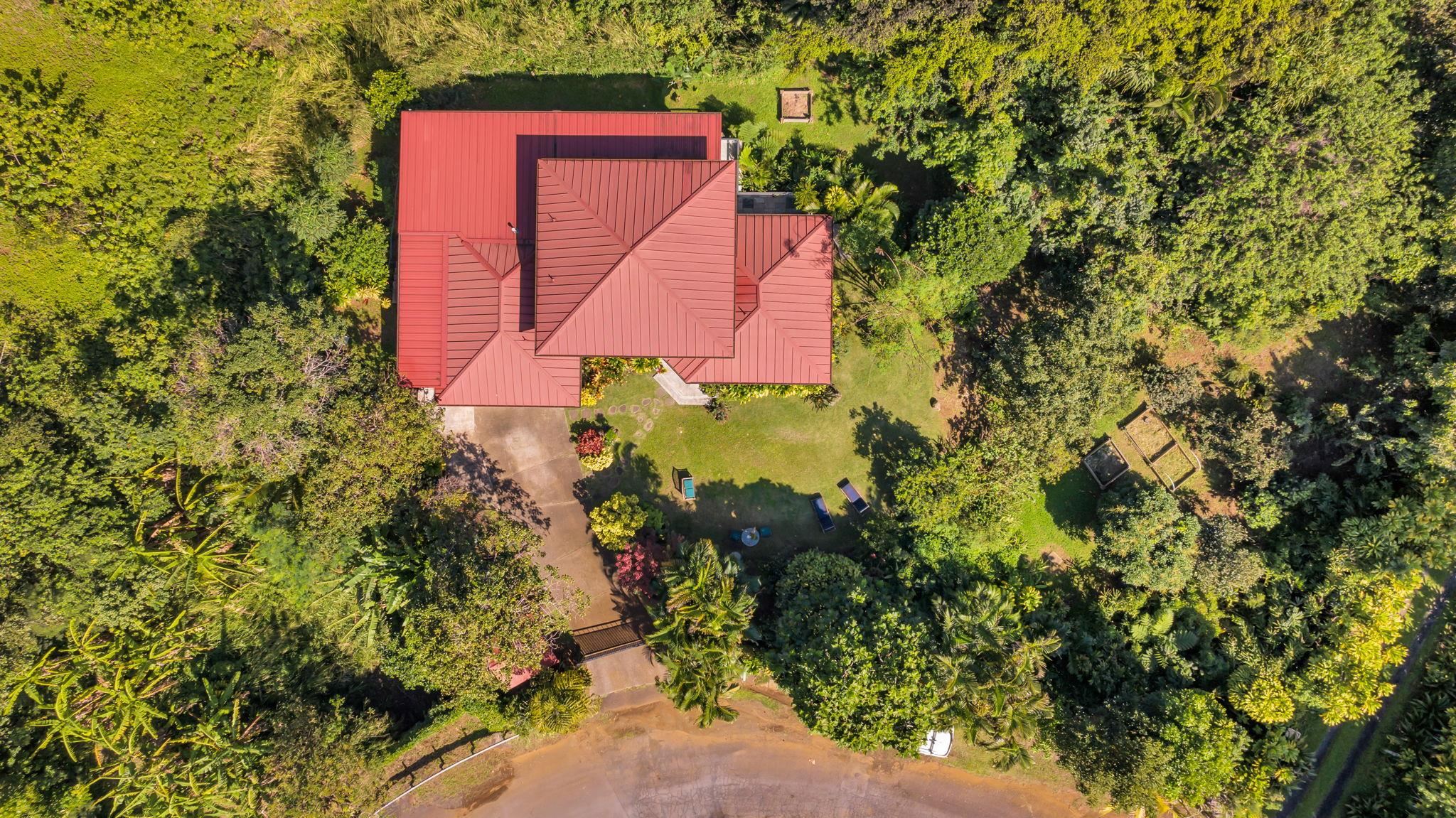 Undisclosed Address Haiku, HI 96708 - Photo 41 of 42 view of a yard with plants