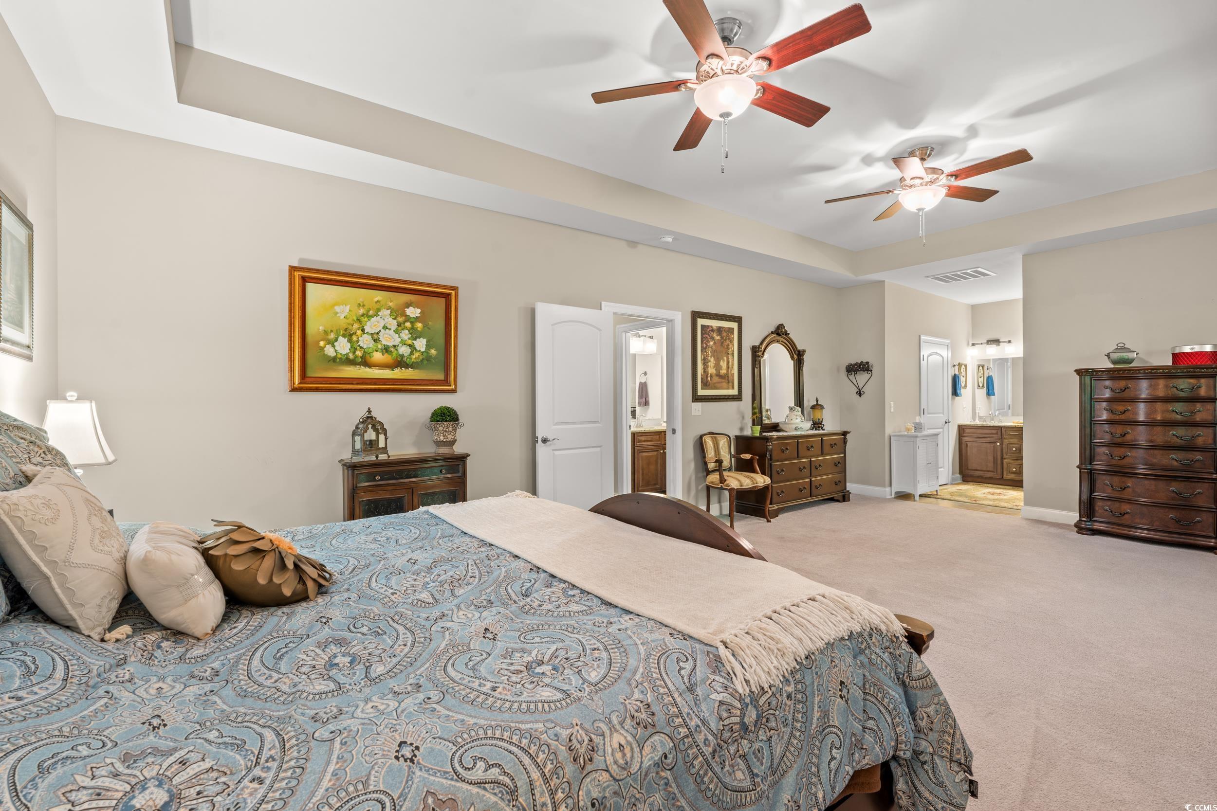 860 Tilly Lake Road Conway, SC 29526 - Photo 16 of 38 Bedroom with a raised ceiling, ensuite bath, ceili