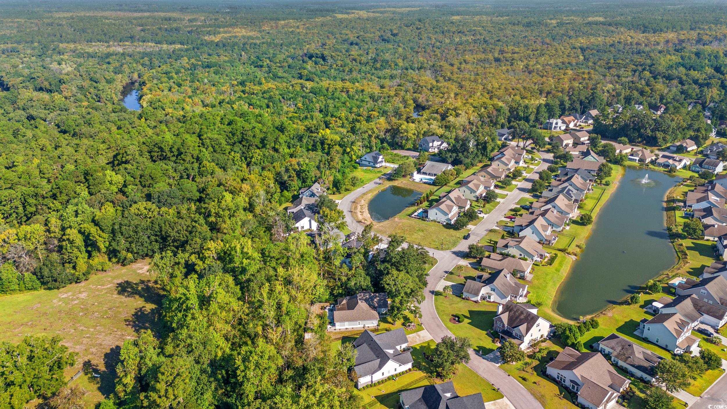860 Tilly Lake Road Conway, SC 29526 - Photo 31 of 38 Drone / aerial view with a water view