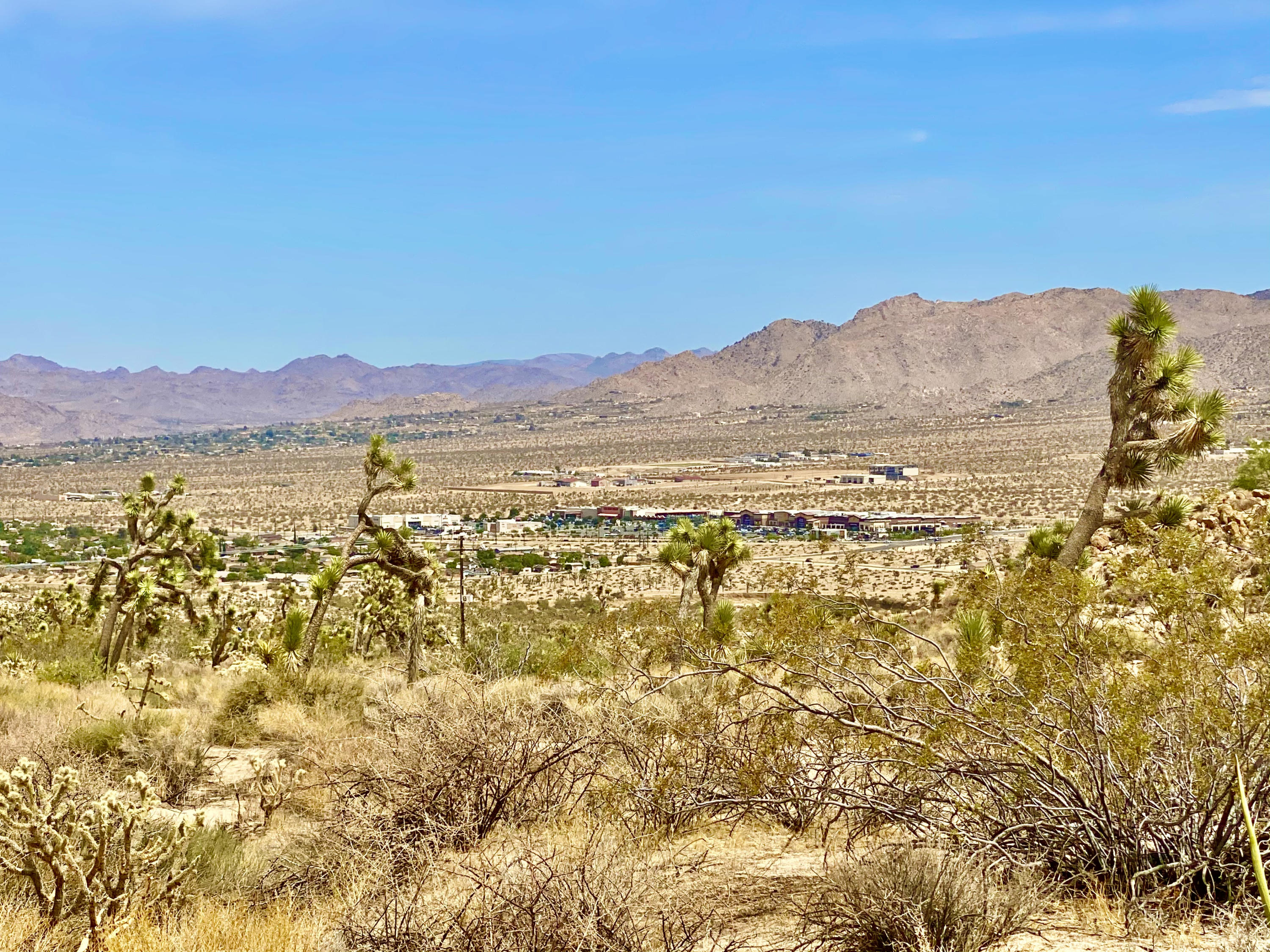 104 Bandera Road Yucca Valley, CA 92284 - Photo 19 of 48 IMG_3511