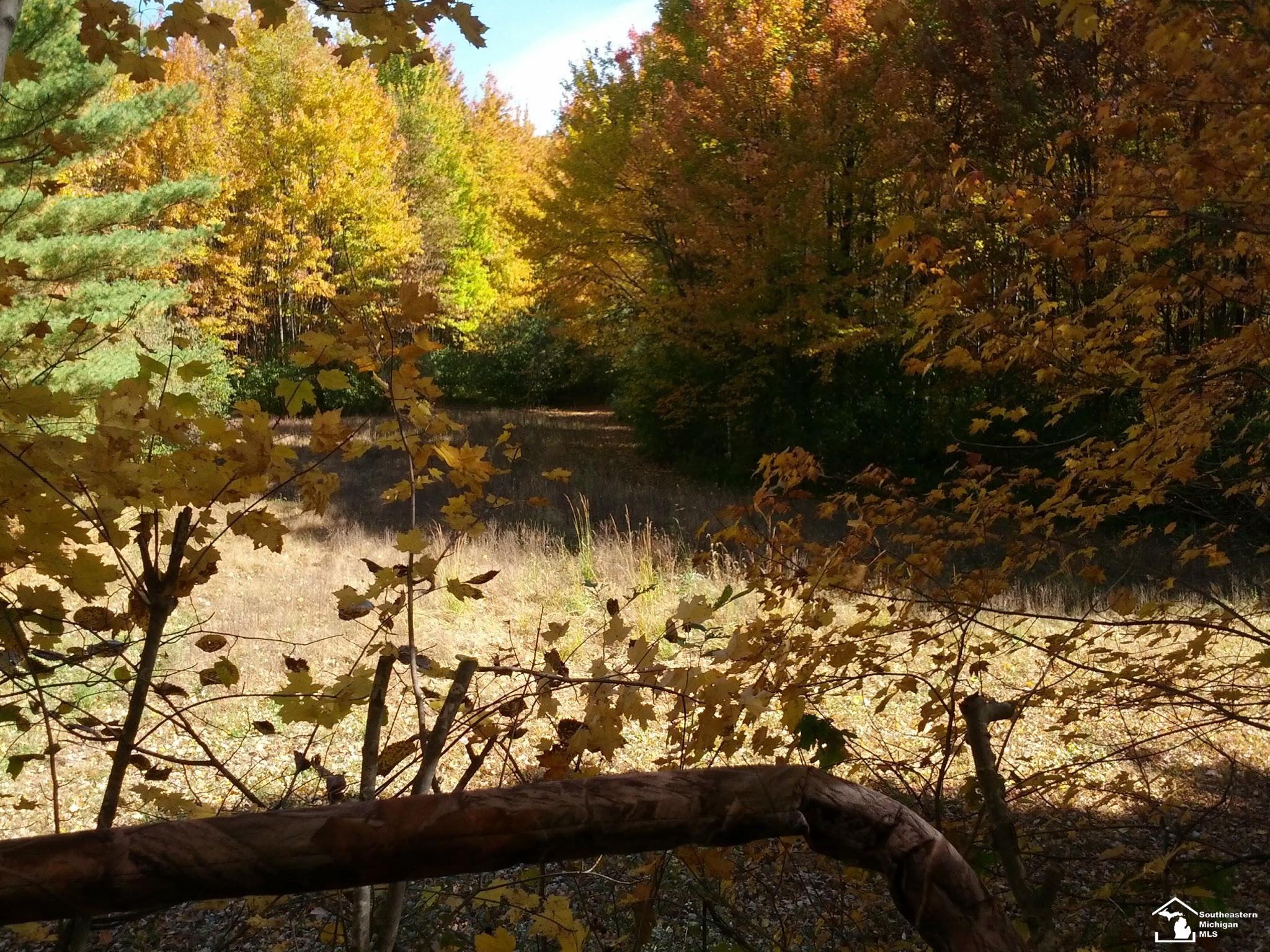 2293 Steiner Road Monroe, MI 48162 - Photo 95 of 99 Gallery Image 95