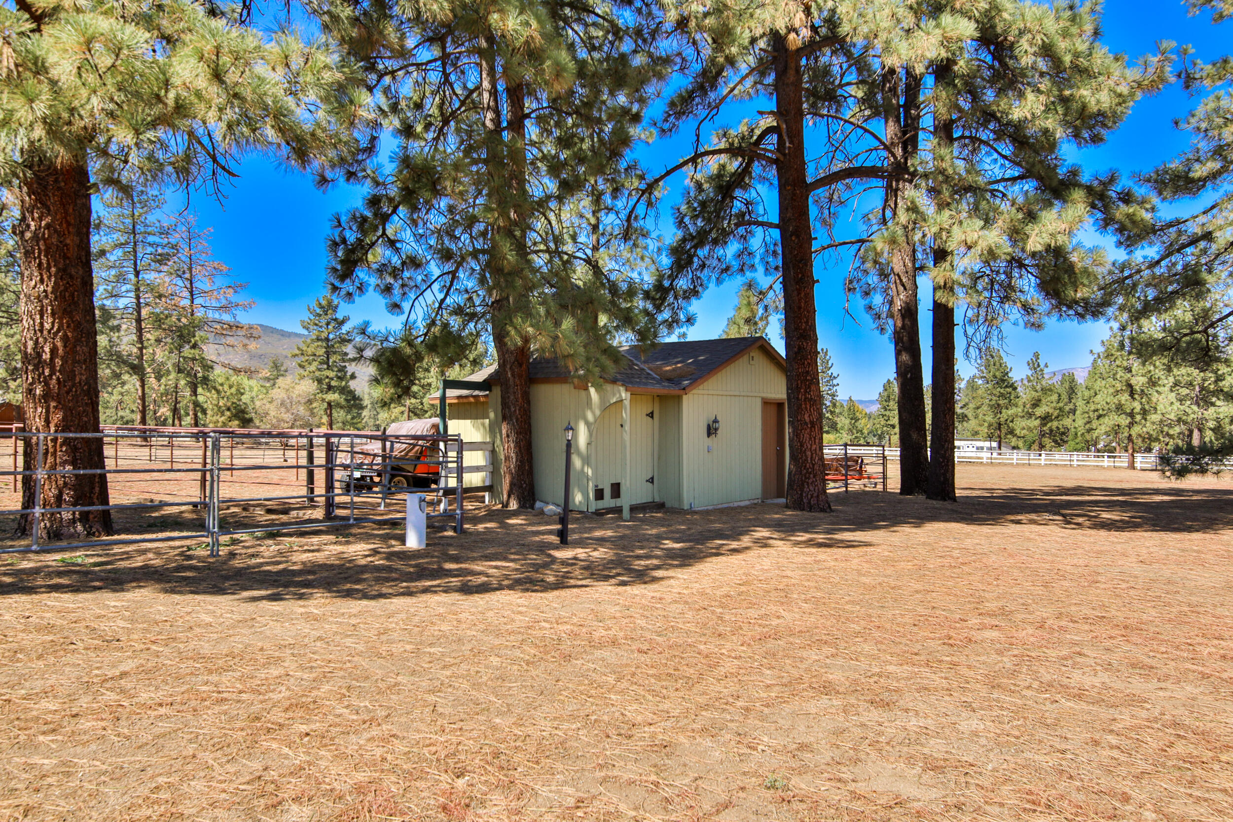 35410 Tool Box Spring Road Mountain Center, CA 92561 - Photo 54 of 65 068A4427