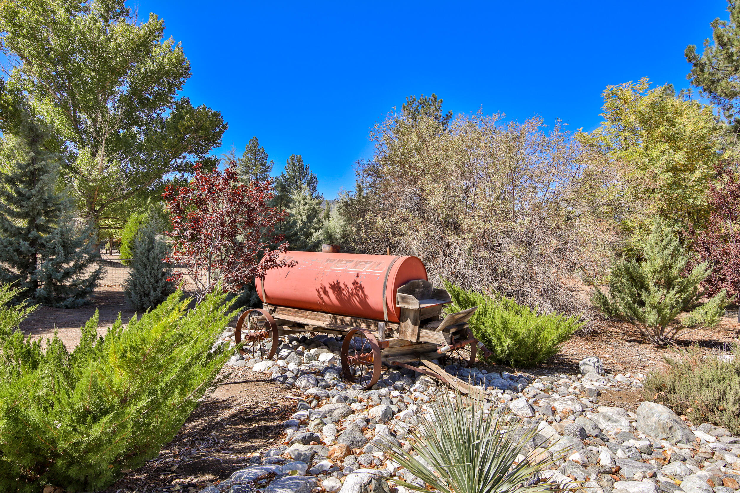 35410 Tool Box Spring Road Mountain Center, CA 92561 - Photo 55 of 65 068A4435