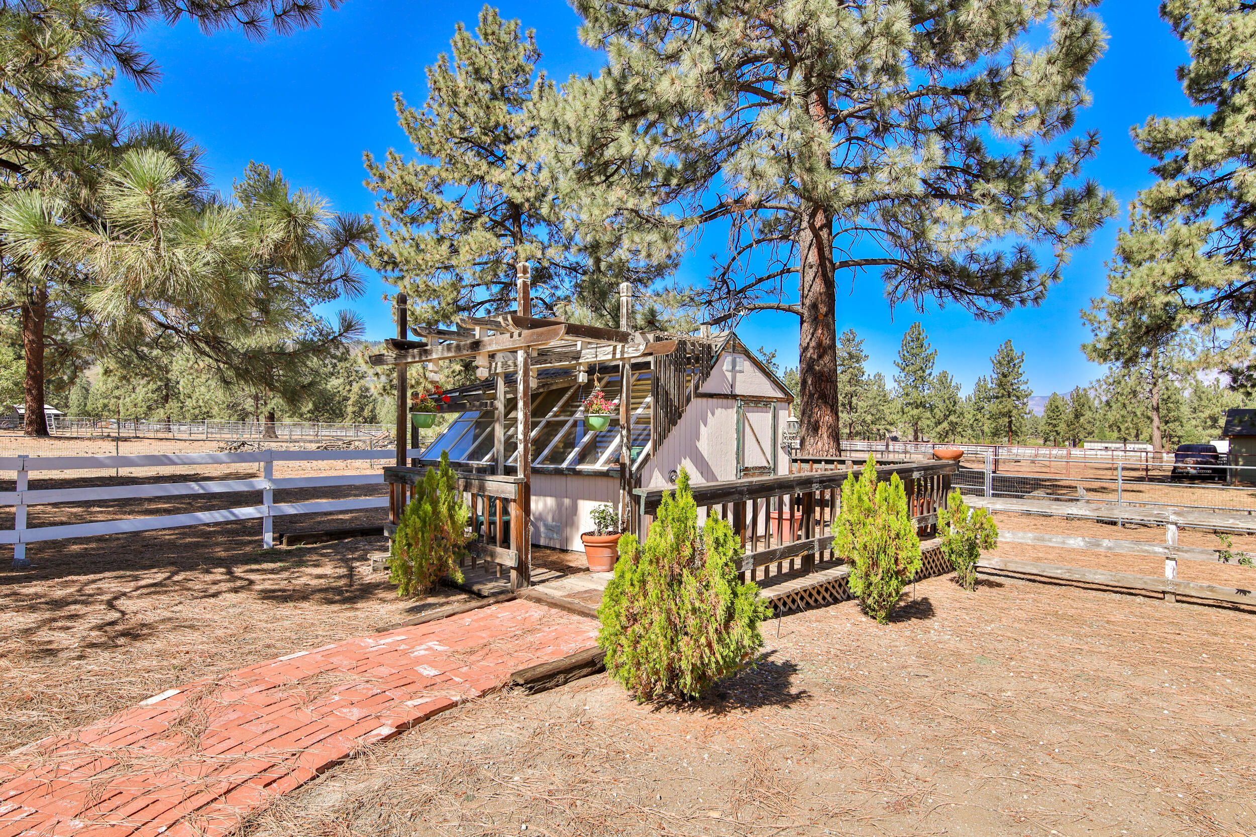 35410 Tool Box Spring Road Mountain Center, CA 92561 - Photo 65 of 65 068A4098