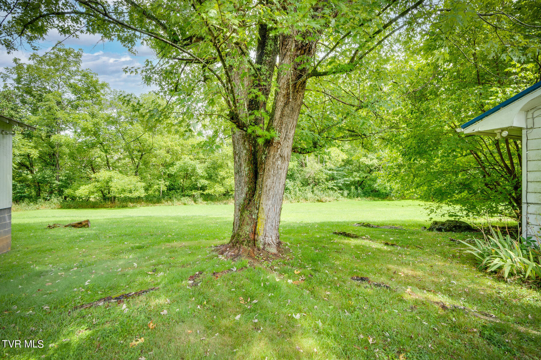 140 Snowflake Road Gate City, VA 24251 - Photo 37 of 51 37