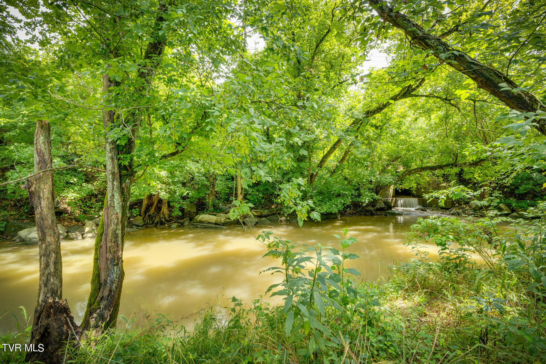 140 Snowflake Road Gate City, VA 24251 - Photo 44 of 51 44
