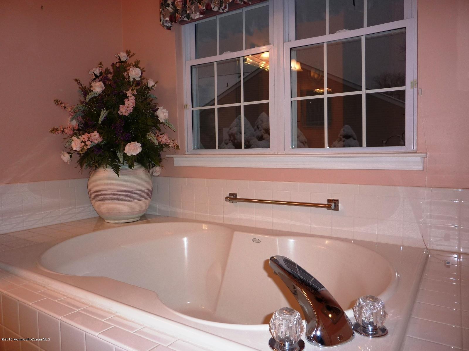 4 Rye Court Jackson, NJ 08527 - Photo 17 of 20 P1060372