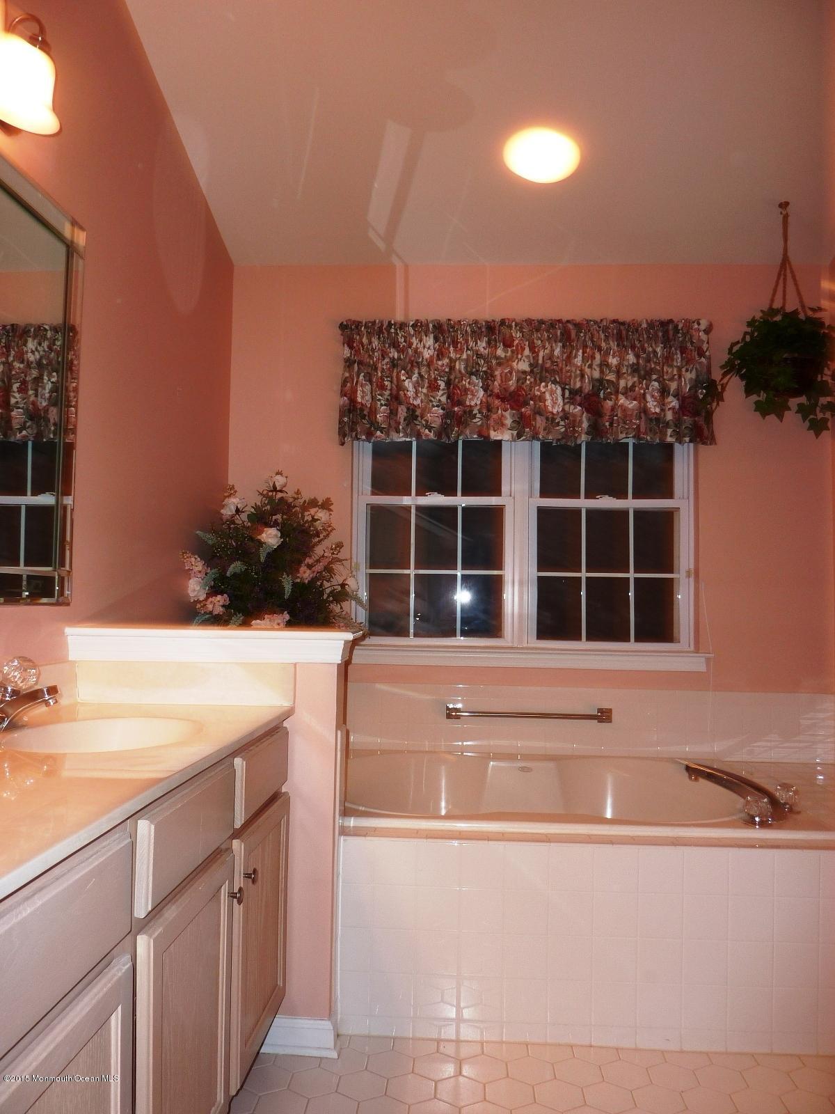 4 Rye Court Jackson, NJ 08527 - Photo 19 of 20 P1060374