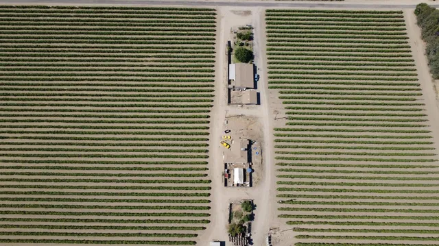 a view of a city with a wooden wall