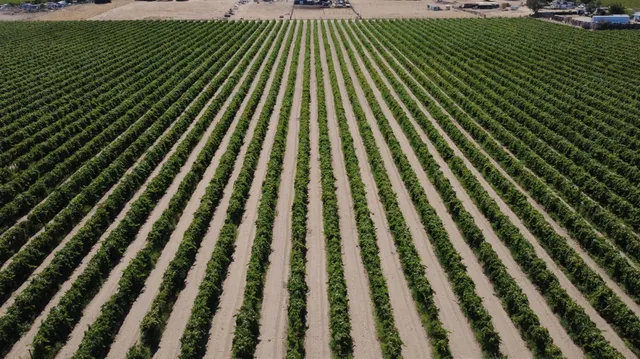 a view of a pathway with a park