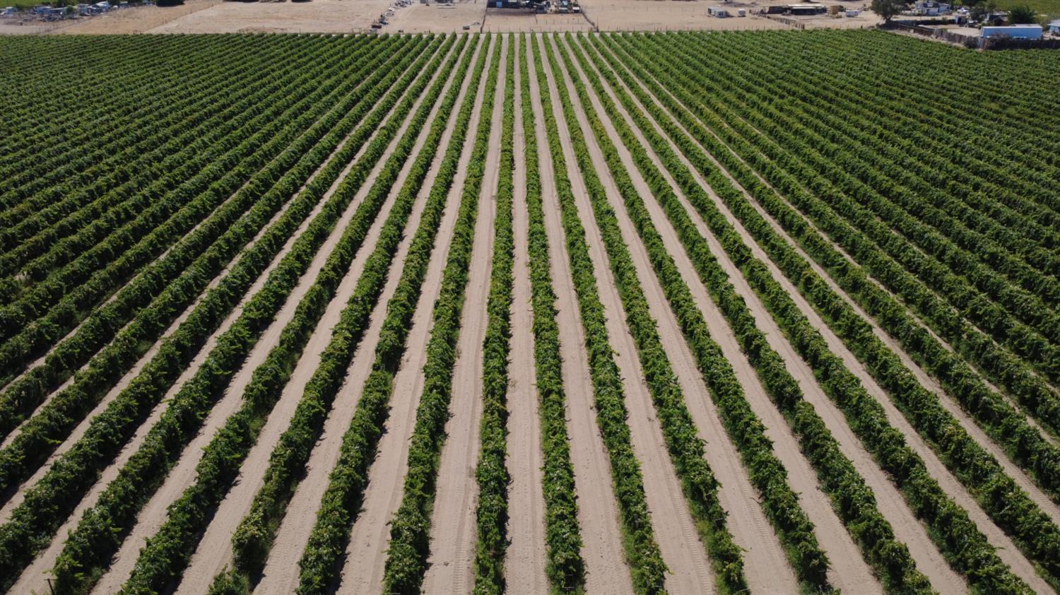 2247 West Magnolia Avenue Caruthers, CA 93609 - Photo 4 of 6