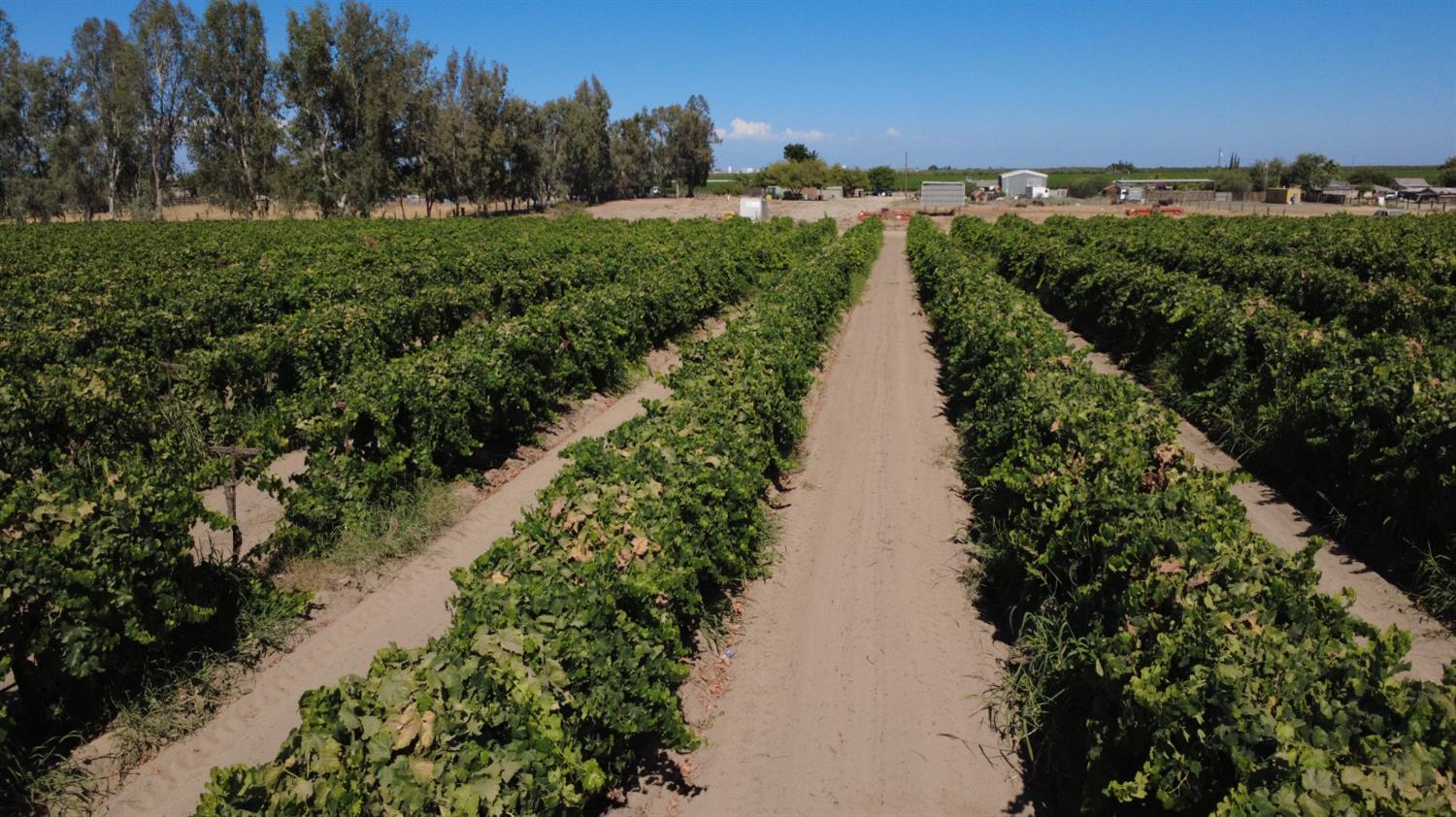 2247 West Magnolia Avenue Caruthers, CA 93609 - Photo 5 of 6 a view of a pathway with a park