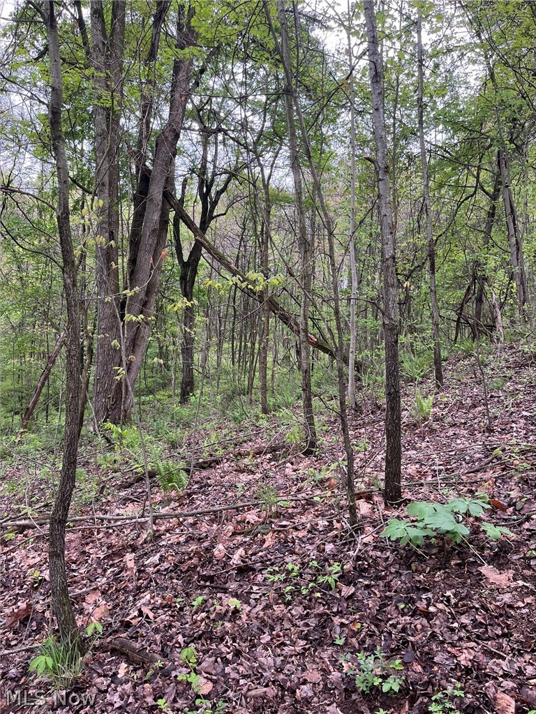 Sandy Ridge Road Tippecanoe, OH 44699 - Photo 15 of 21