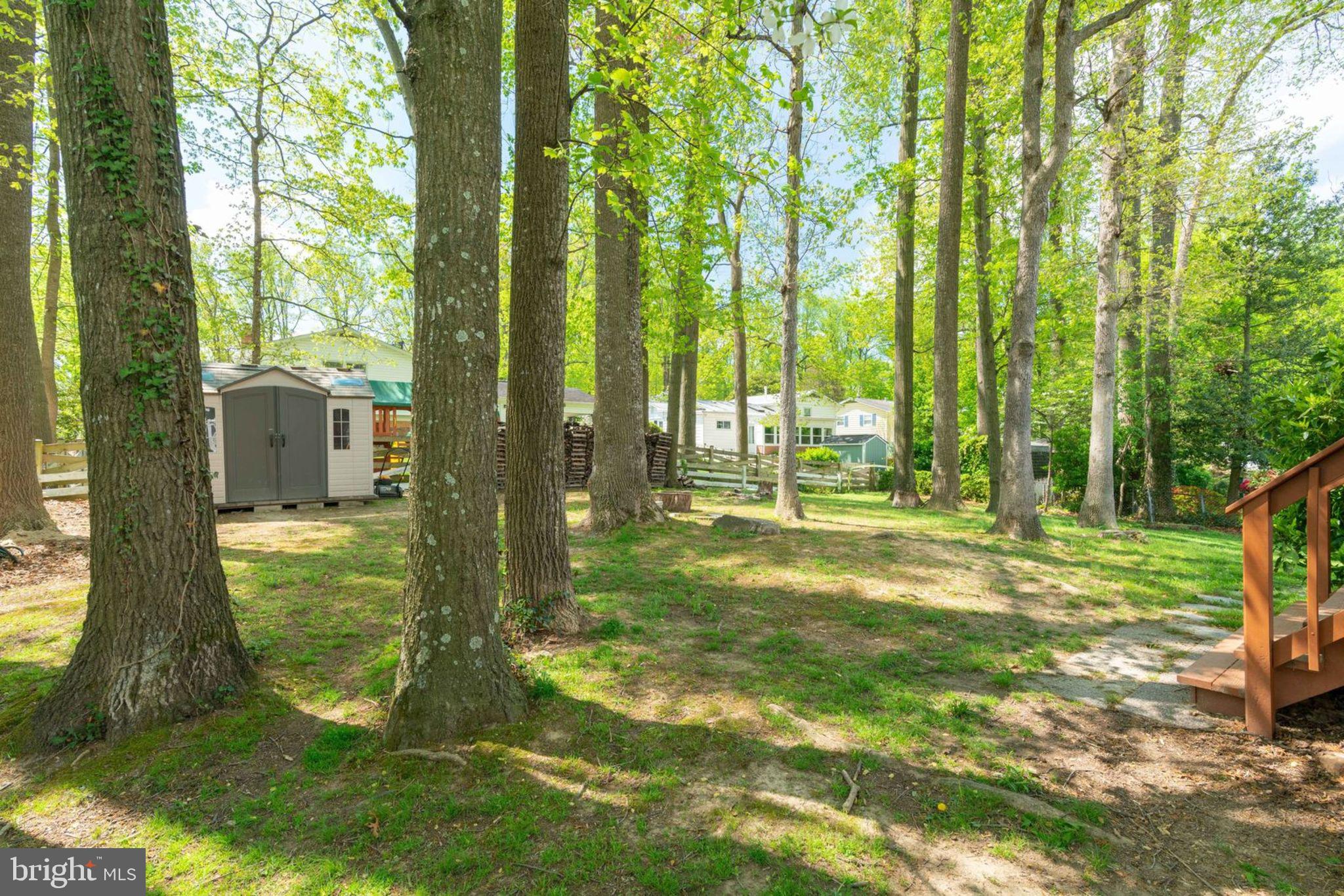 8203 Blairton Road Springfield, VA 22152 - Photo 21 of 30 Gallery Image 21
