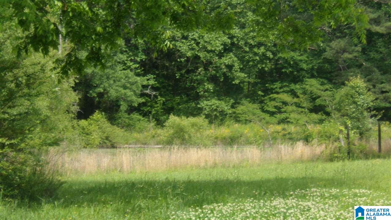 3029 Nixon Road Bessemer, AL 35022 - Photo 11 of 27