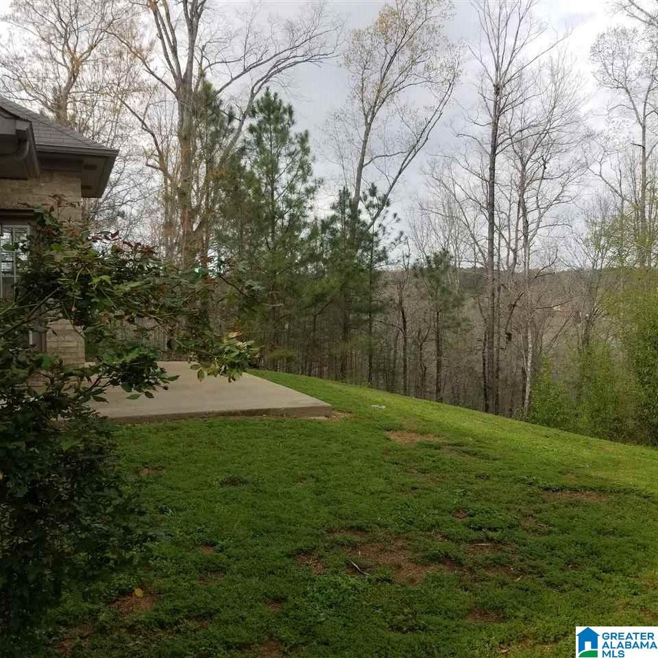 46 Springdale Drive Mount Olive, AL 35117 - Photo 3 of 15