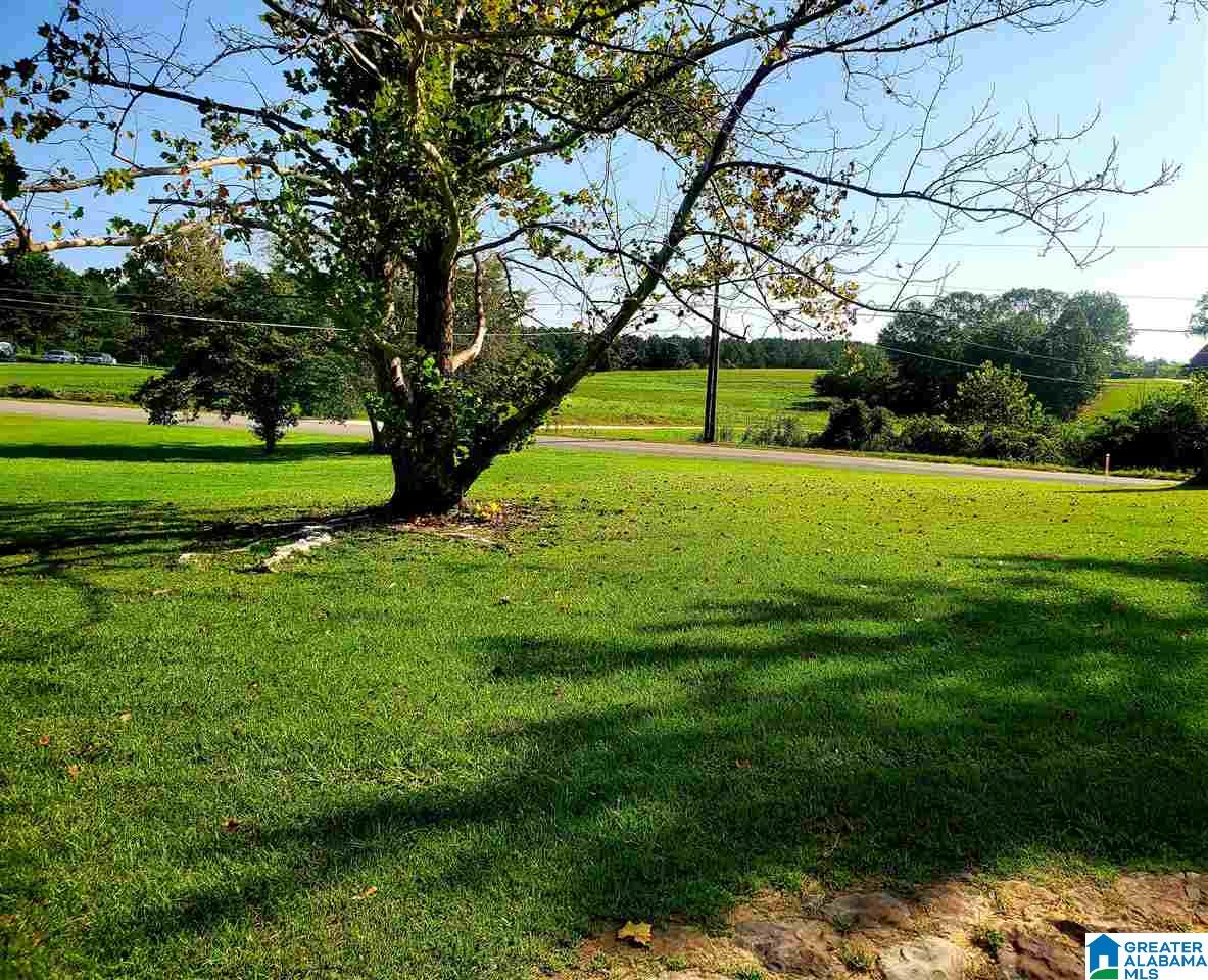 2656 Torrance Road Warrior, AL 35180 - Photo 2 of 13