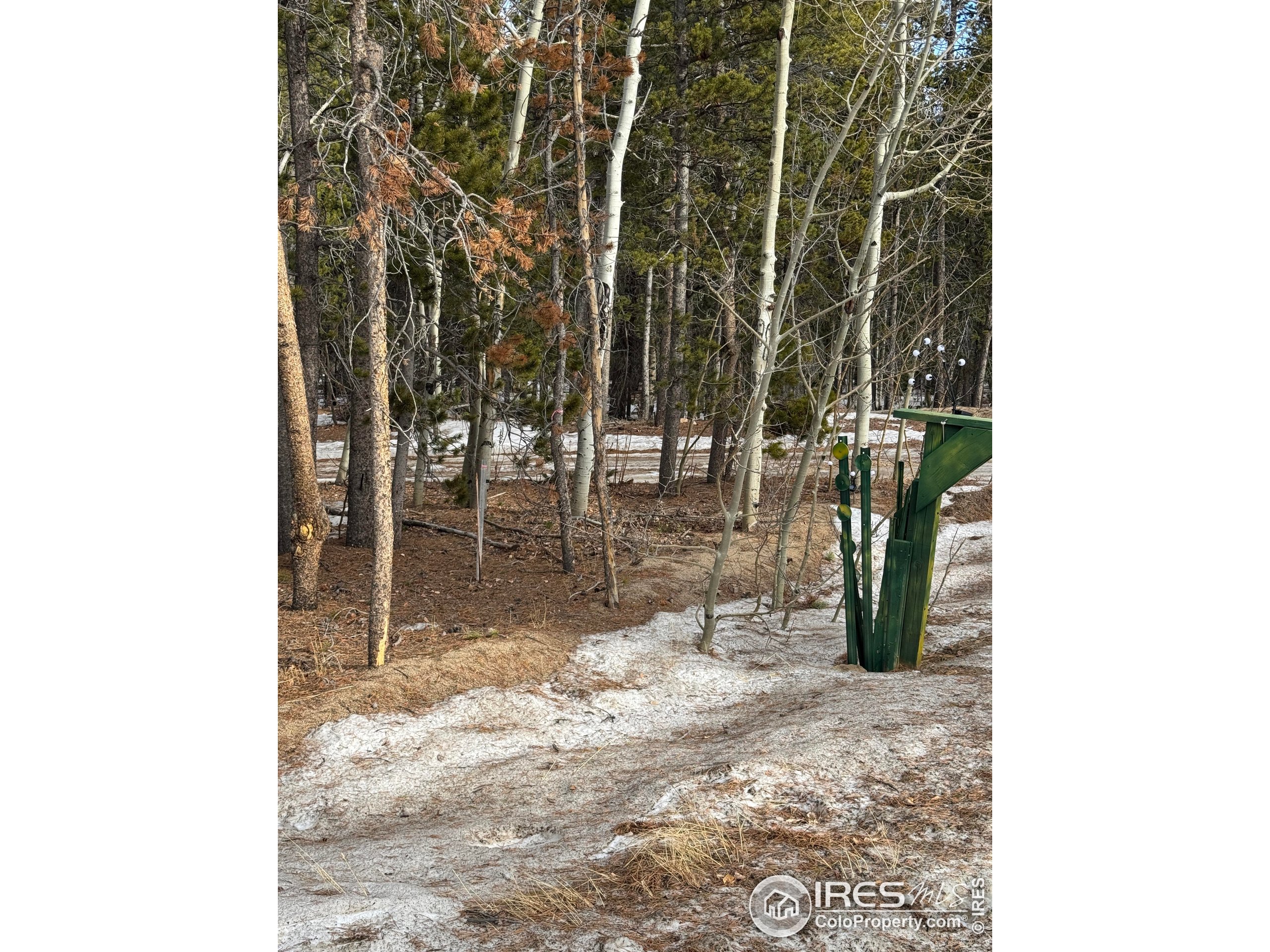 121 Aurora Road Black Hawk, CO 80422 - Photo 13 of 18