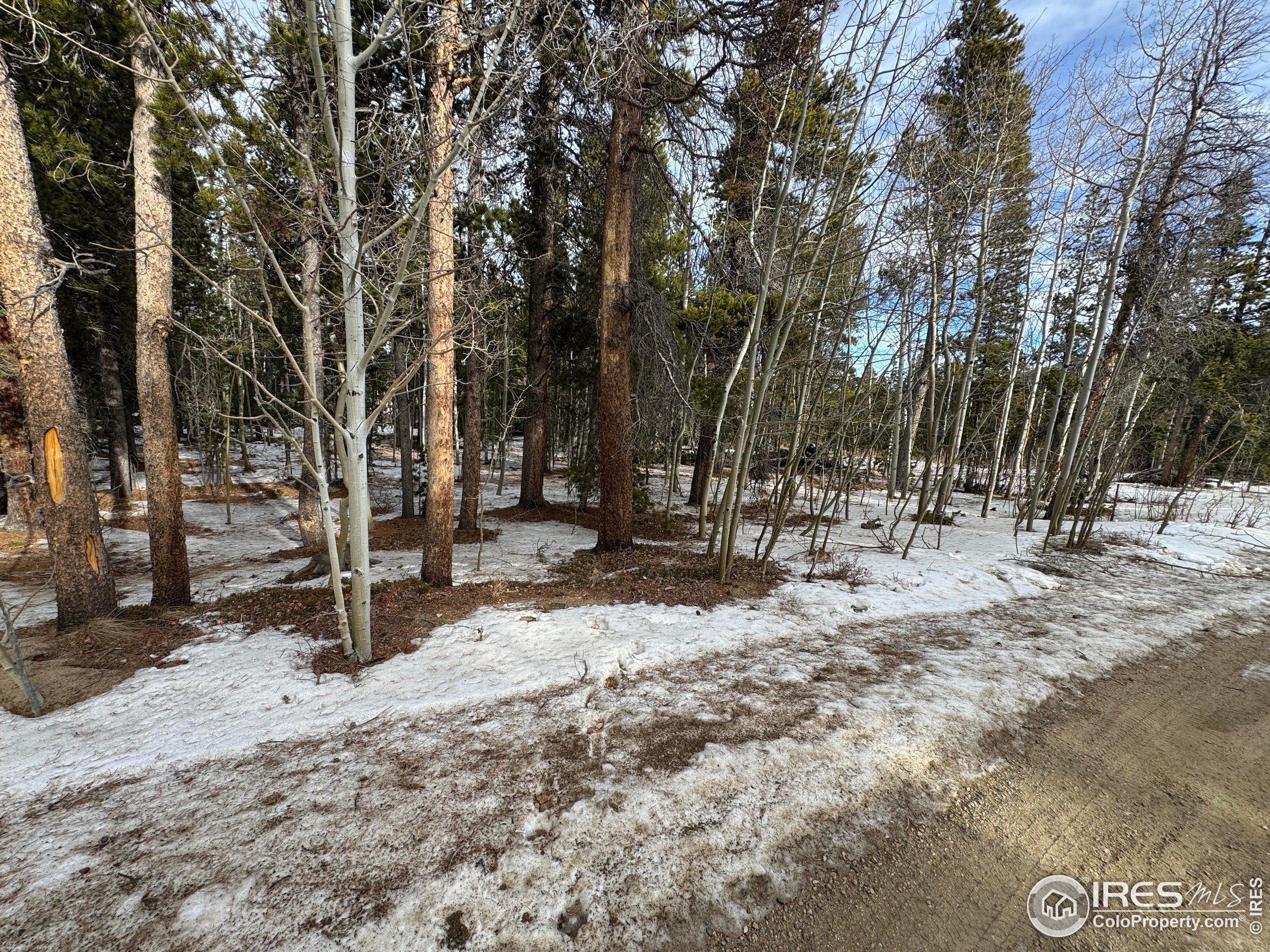 121 Aurora Road Black Hawk, CO 80422 - Photo 6 of 18