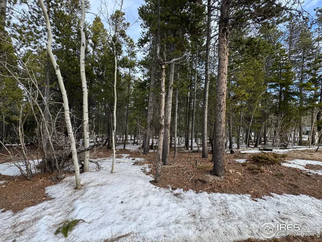a view of outdoor space with trees